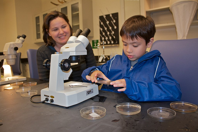 Child using microscope, Image by Brian Gratwicke