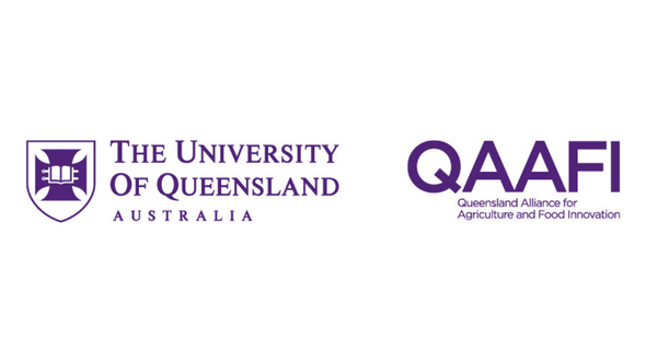 QAAFI logo